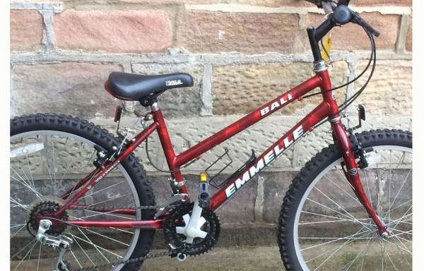 24 bike for what age